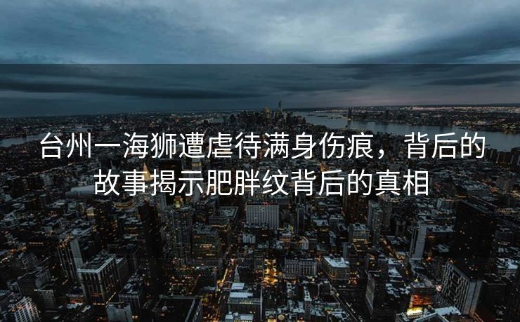 台州一海狮遭虐待满身伤痕，背后的故事揭示肥胖纹背后的真相