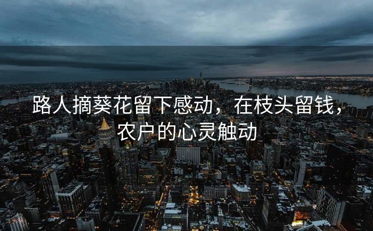 路人摘葵花留下感动，在枝头留钱，农户的心灵触动