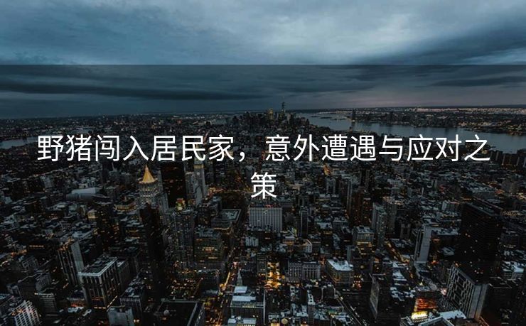 野猪闯入居民家，意外遭遇与应对之策