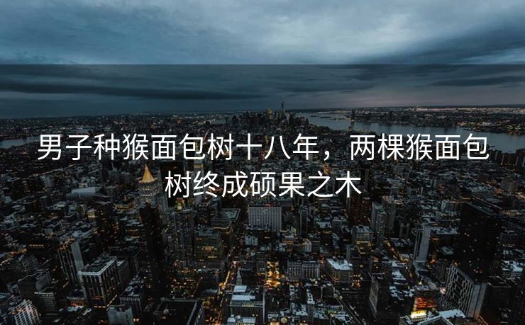 男子种猴面包树十八年，两棵猴面包树终成硕果之木