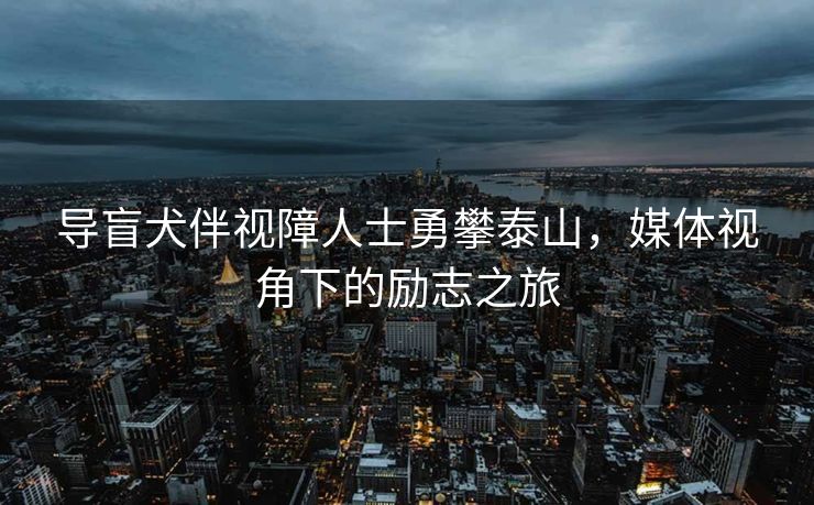 导盲犬伴视障人士勇攀泰山，媒体视角下的励志之旅