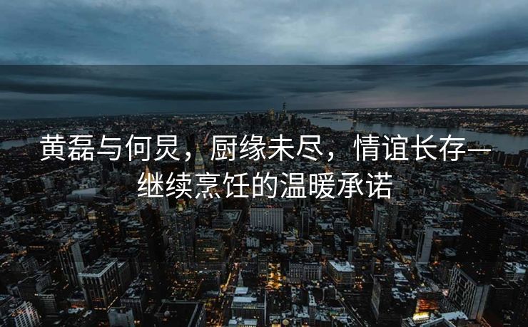 黄磊与何炅，厨缘未尽，情谊长存—继续烹饪的温暖承诺