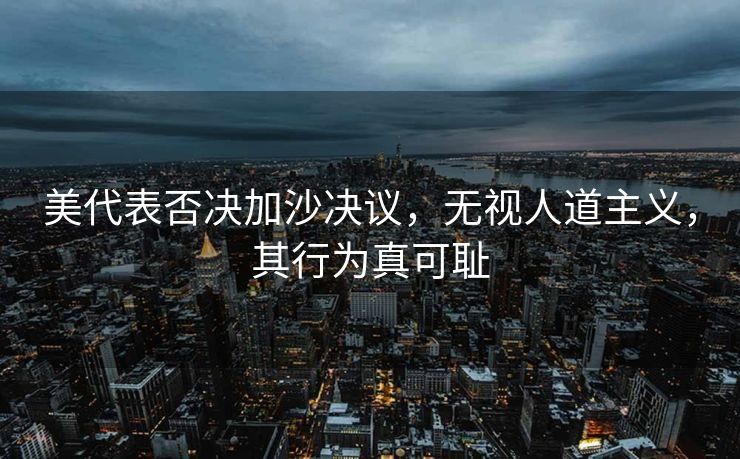 美代表否决加沙决议，无视人道主义，其行为真可耻
