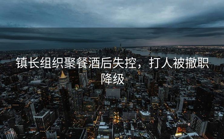 镇长组织聚餐酒后失控，打人被撤职降级