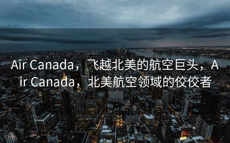Air Canada，飞越北美的航空巨头，Air Canada，北美航空领域的佼佼者