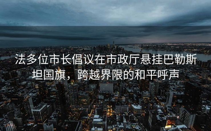 法多位市长倡议在市政厅悬挂巴勒斯坦国旗，跨越界限的和平呼声