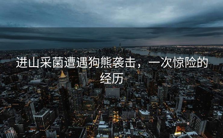 进山采菌遭遇狗熊袭击，一次惊险的经历
