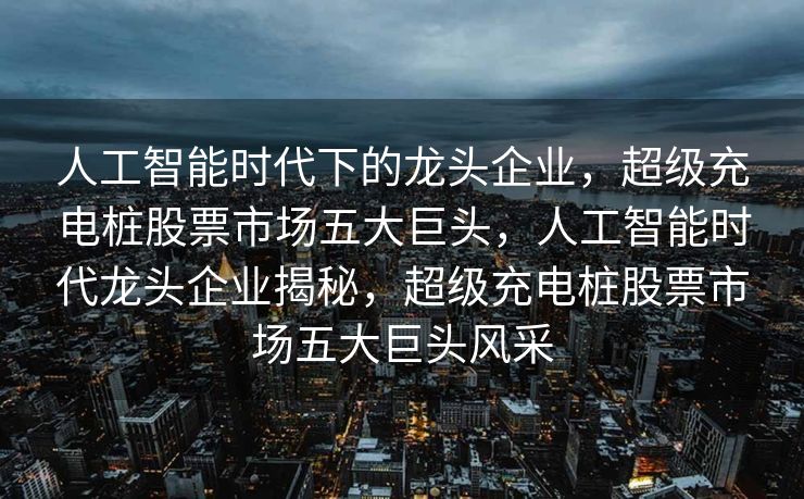 人工智能时代下的龙头企业，超级充电桩股票市场五大巨头，人工智能时代龙头企业揭秘，超级充电桩股票市场五大巨头风采