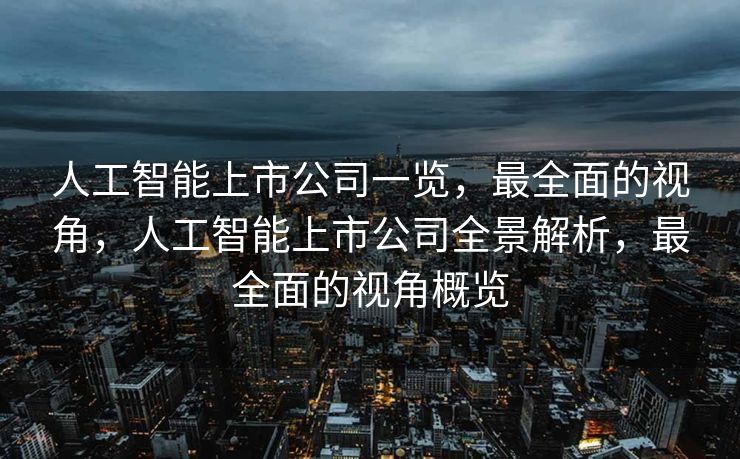 人工智能上市公司一览，最全面的视角，人工智能上市公司全景解析，最全面的视角概览