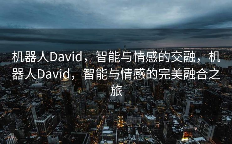 机器人David，智能与情感的交融，机器人David，智能与情感的完美融合之旅