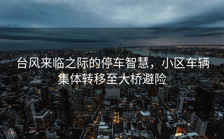 台风来临之际的停车智慧，小区车辆集体转移至大桥避险