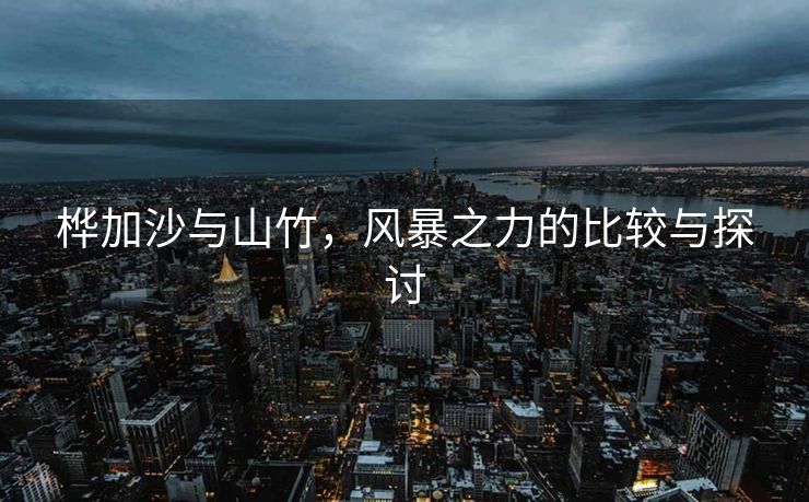 桦加沙与山竹，风暴之力的比较与探讨