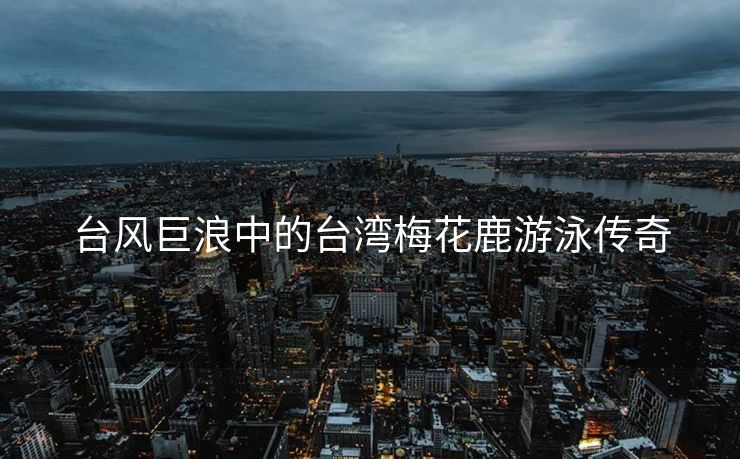 台风巨浪中的台湾梅花鹿游泳传奇