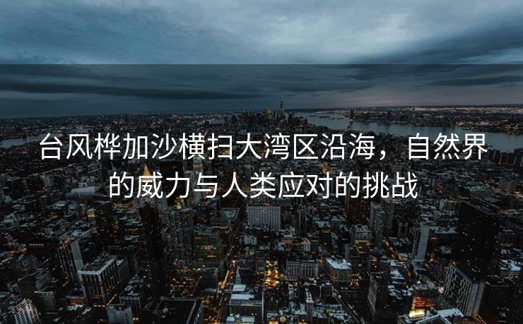 台风桦加沙横扫大湾区沿海，自然界的威力与人类应对的挑战