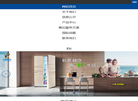 山东小鸭集团家电