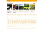 蚂蜂窝旅游攻略