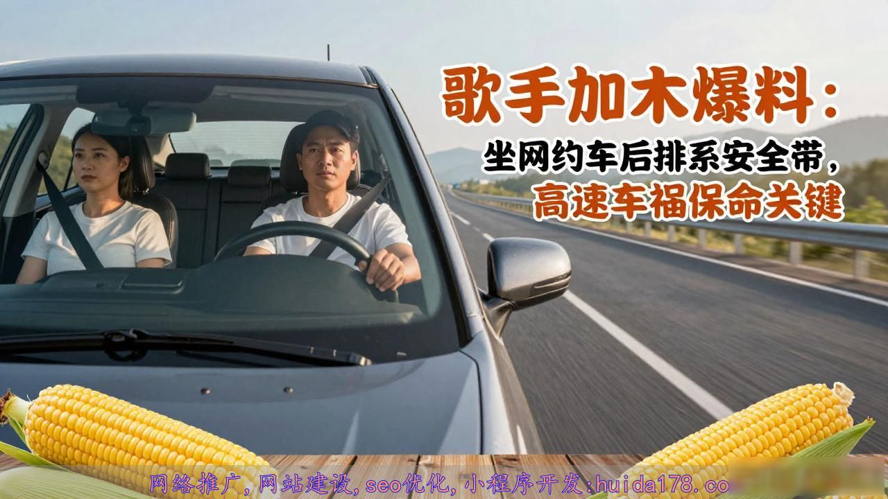 歌手加木爆料：坐网约车后排系安全带，高速车祸保命关键