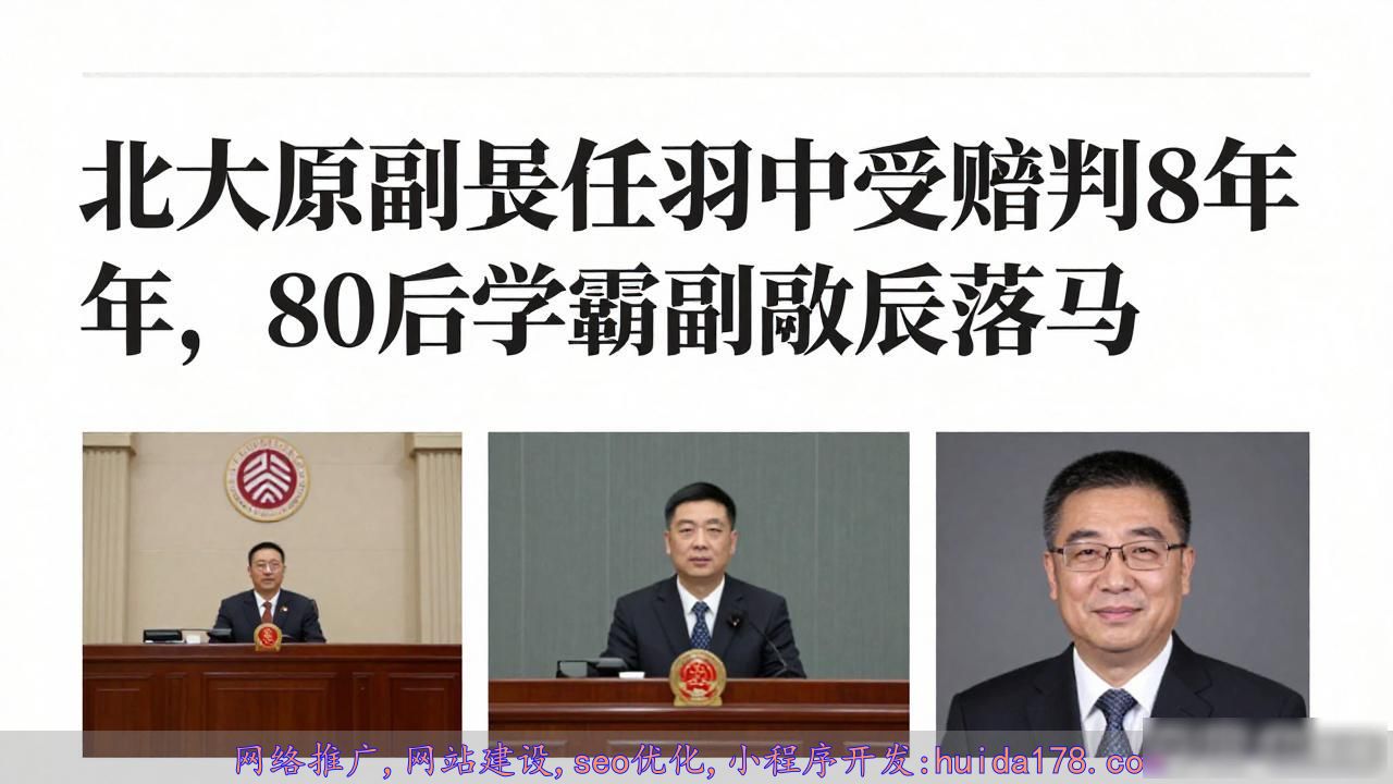 北大原副校长任羽中受贿判8年，80后学霸副校长落马